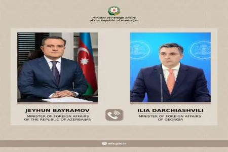 Gürcüstan Xarici İşlər Nazirliyi Azərbaycan səfirliyinə hücumu pisləyib