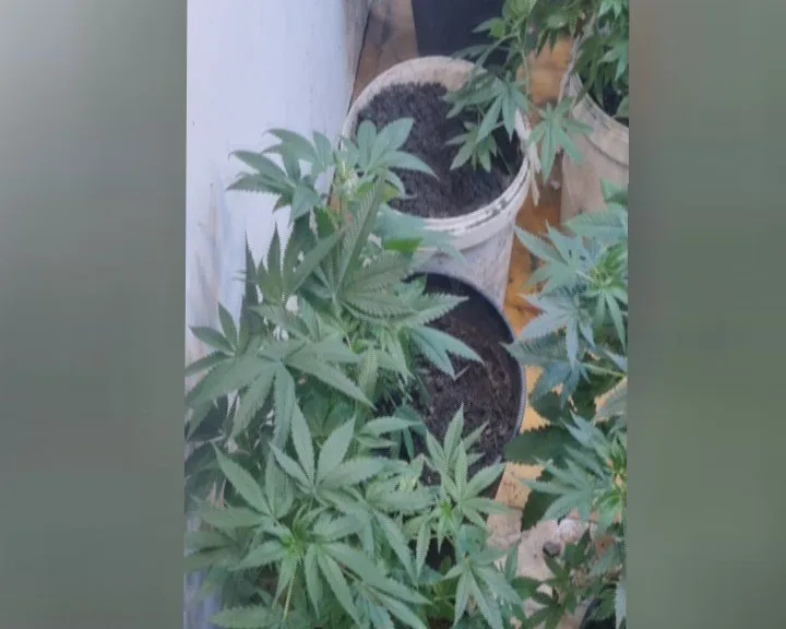 Evində xüsusi laboratoriyada narkotik hazırlayan şəxs saxlanıldı - Fotolar