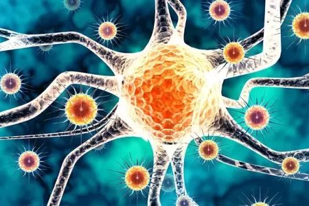 Yeni ölümcül virus aşkarlandı