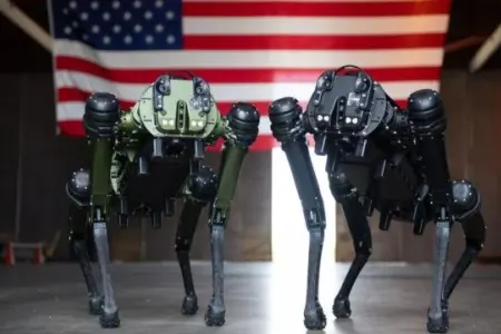 Robot itlər istifadəyə verildi