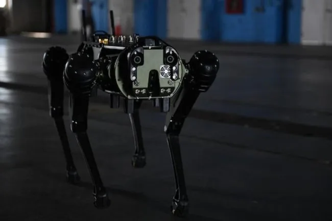 Robot itlər istifadəyə verildi