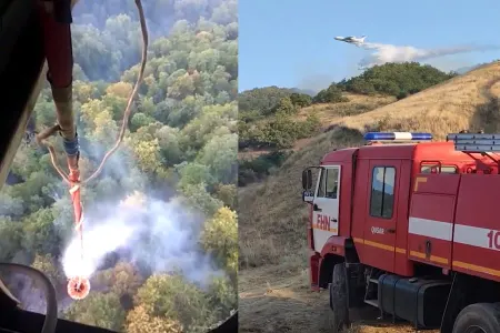 Qəbələ, Şabran, Quba və Siyəzəndə yanğınlar hələ də davam edir - VİDEO