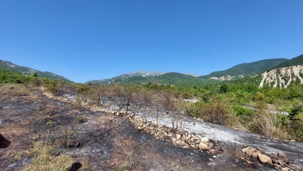 İsmayıllıda qəsdən yanğın törətmə faktının üstü açılıb - FOTO/VİDEO