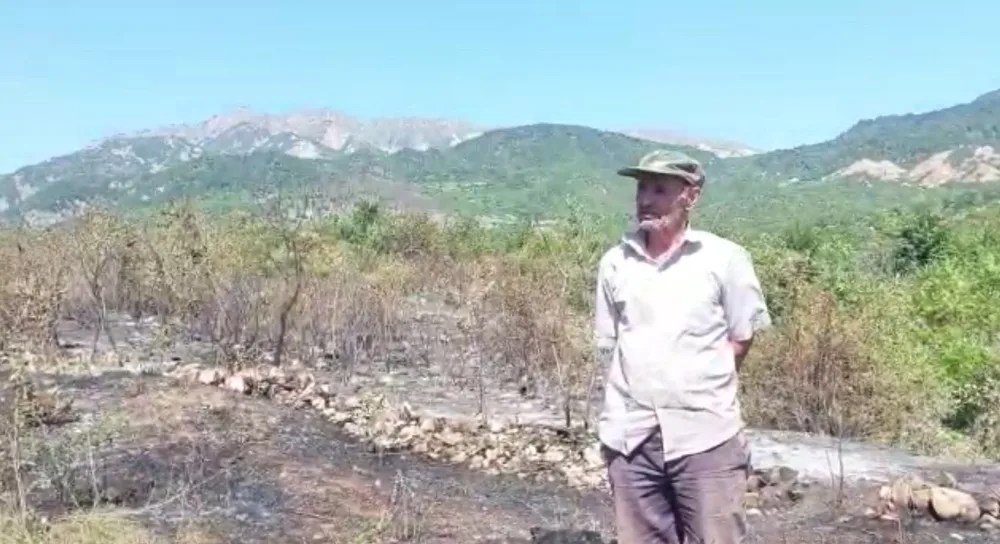 İsmayıllıda qəsdən yanğın törətmə faktının üstü açılıb - FOTO/VİDEO