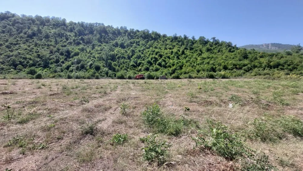 İsmayıllıda qəsdən yanğın törətmə faktının üstü açılıb - FOTO/VİDEO