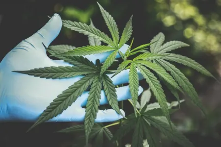 DİN-dən ƏMƏLİYYAT: - Saxlanılanlar var - VİDEO