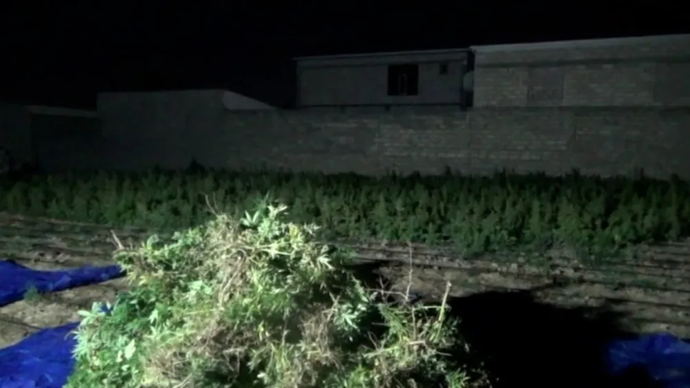 DİN-dən ƏMƏLİYYAT: - Saxlanılanlar var - VİDEO