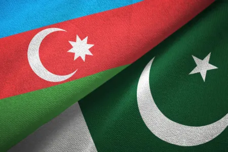 Pakistandan Azərbaycana təşəkkür - FOTO
