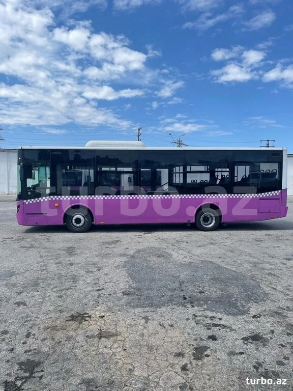 Daşıyıcı şirkətlər sürətlə müflisləşir - Avtobuslar satışa çıxarılır