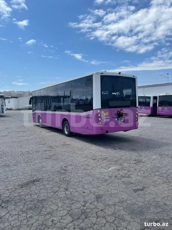 Daşıyıcı şirkətlər sürətlə müflisləşir - Avtobuslar satışa çıxarılır