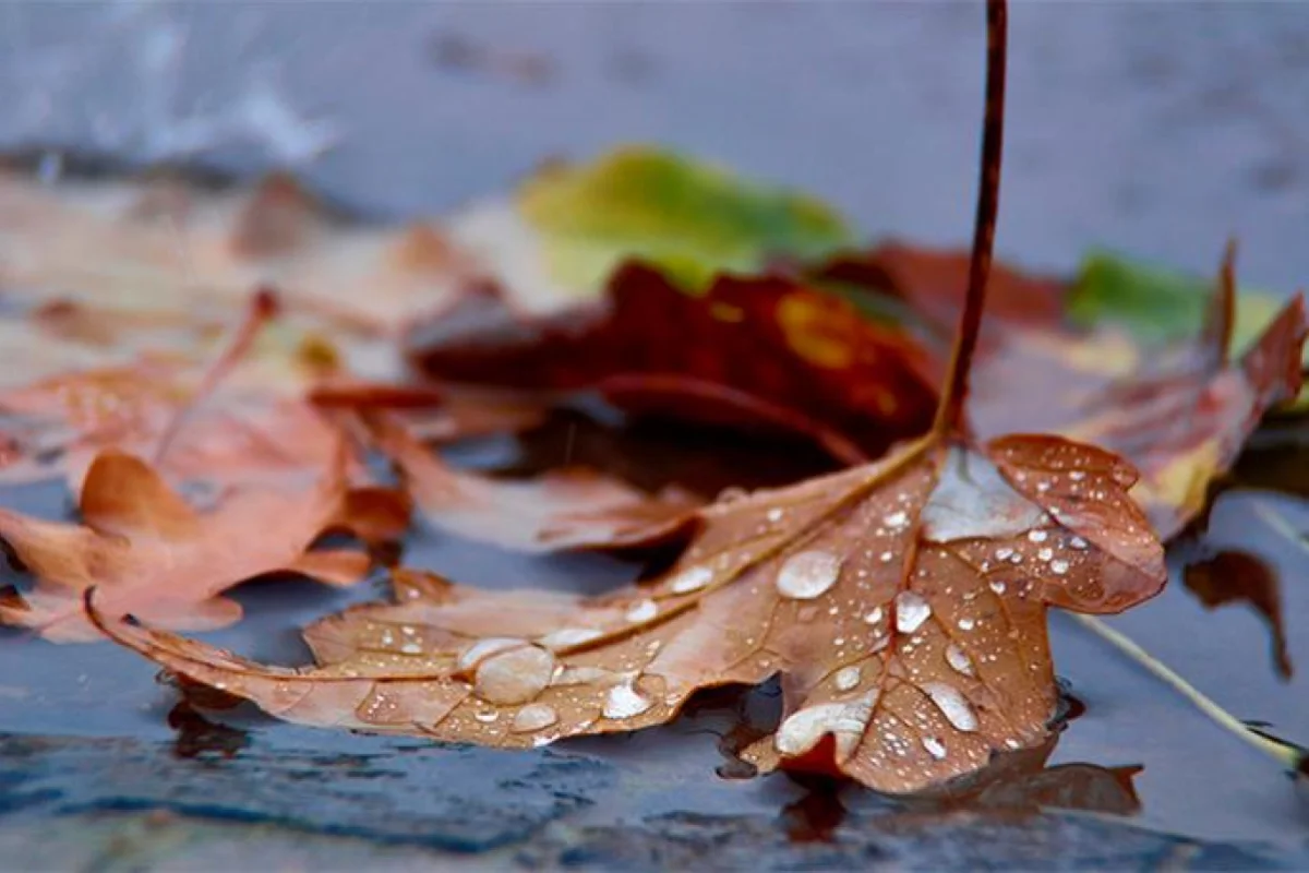 Hava kəskin - SOYUYACAQ