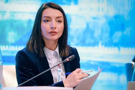 XİN-dən Xudafərin istiqamətində terrorçu qrupun həbs olunması xəbərlərinə - Açıqlama