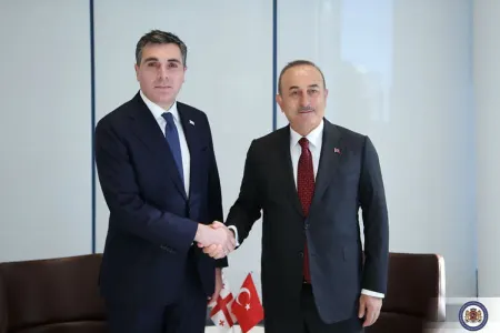 Çavuşoğlu gürcü həmkarı ilə təhlükəsizlik məsələlərini müzakirə edib