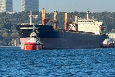 İstanbul boğazında hərəkət bərpa olundu - YENİLƏNDİ
