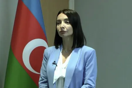 Leyla Abdullayeva - Fransaya SƏFİR TƏYİN EDİLDİ