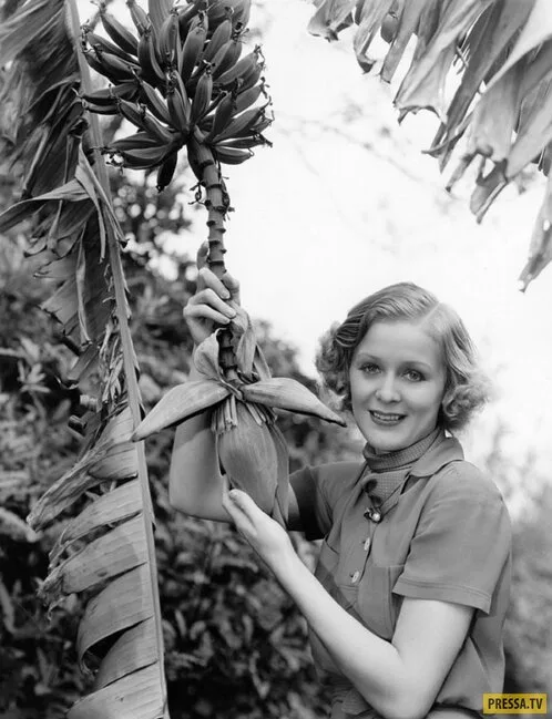 "Titanik"dəki yaşlı qadın cavanlıqda BELƏ OLUB - Cek onu görsə, Rouza tərəfə baxmazdı - FOTO