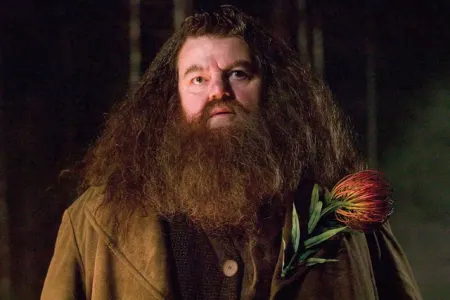 “Harry Potter”in ulduzunun ölüm səbəbi bəlli oldu