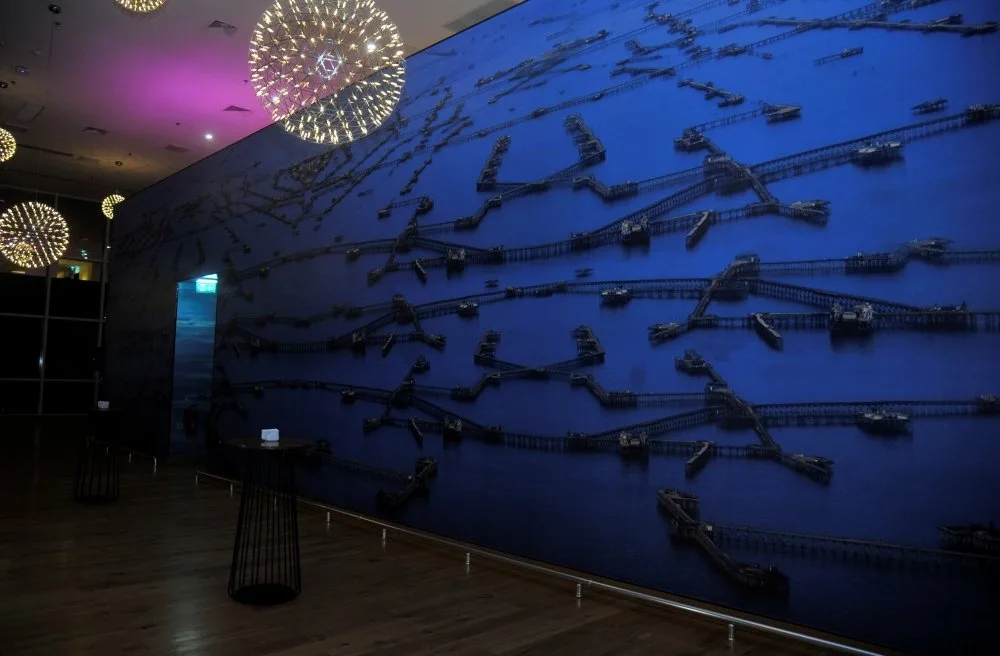 Bakıda dünyaşöhrətli fotojurnalistin sərgisi açılıb - FOTO