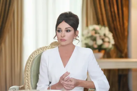 Mehriban Əliyevadan Konstitusiya Günü ilə bağlı PAYLAŞIM