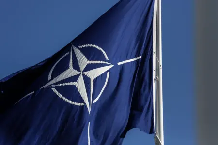 Azərbaycan Silahlı Qüvvələri peşəkarlıq və öz işinə sadiqlik nümayiş etdirir - NATO