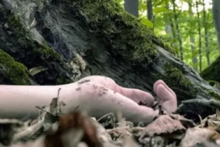 Masallıda faciə: ehtiyatsızlıq ölümə səbəb oldu