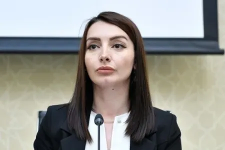 "Ermənistan BMT TŞ-yə üzv ölkələrin çağırışlarına əməl etməlidir" - Leyla Abdullayeva