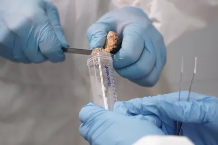 Donmuş virus canlandırıldı: - Dünyada yeni xəstəlik yayıla bilər