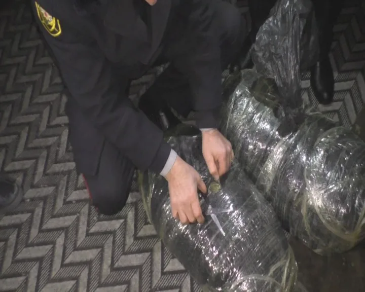 Balakəndə əməliyyat keçirildi - 8 nəfər tutuldu