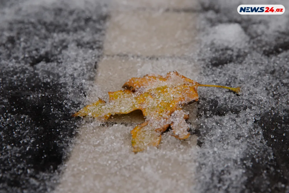 Bakıda ilin ilk qarı - FOTOREPORTAJ