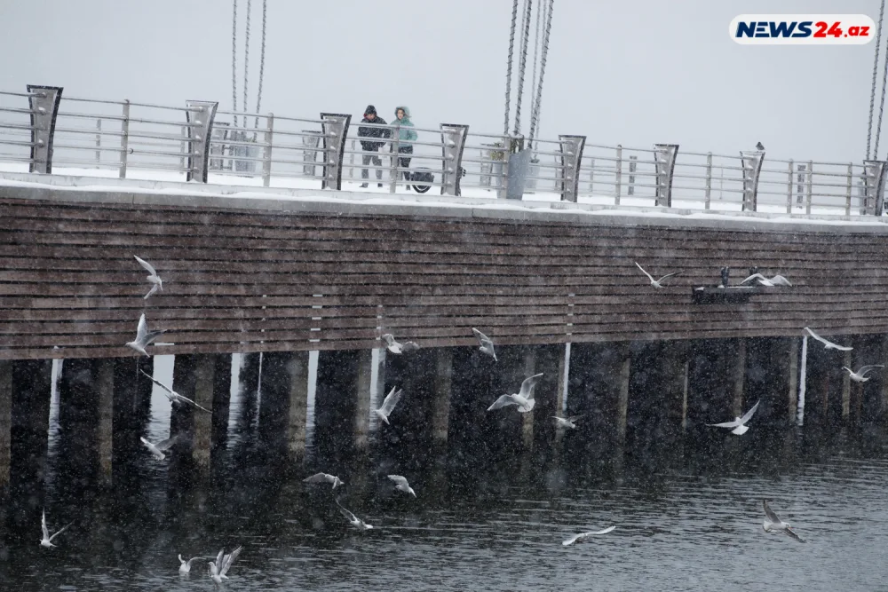 Bakıda ilin ilk qarı - FOTOREPORTAJ