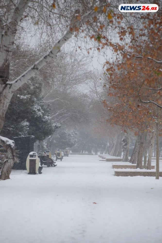 Bakıda ilin ilk qarı - FOTOREPORTAJ