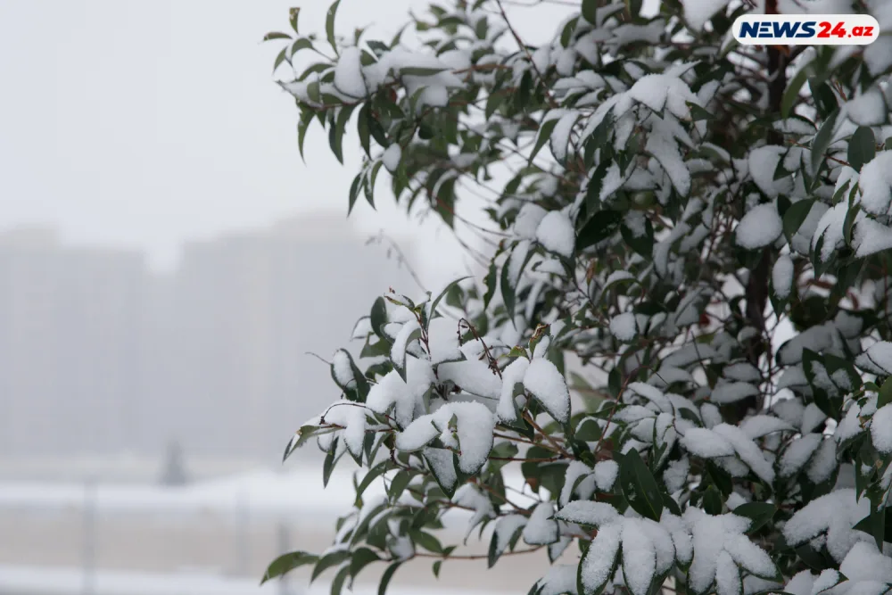 Bakıda ilin ilk qarı - FOTOREPORTAJ