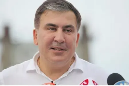 Saakaşvili ilə bağlı yeni dinləmə yanvarın 11-nə təyin edilib