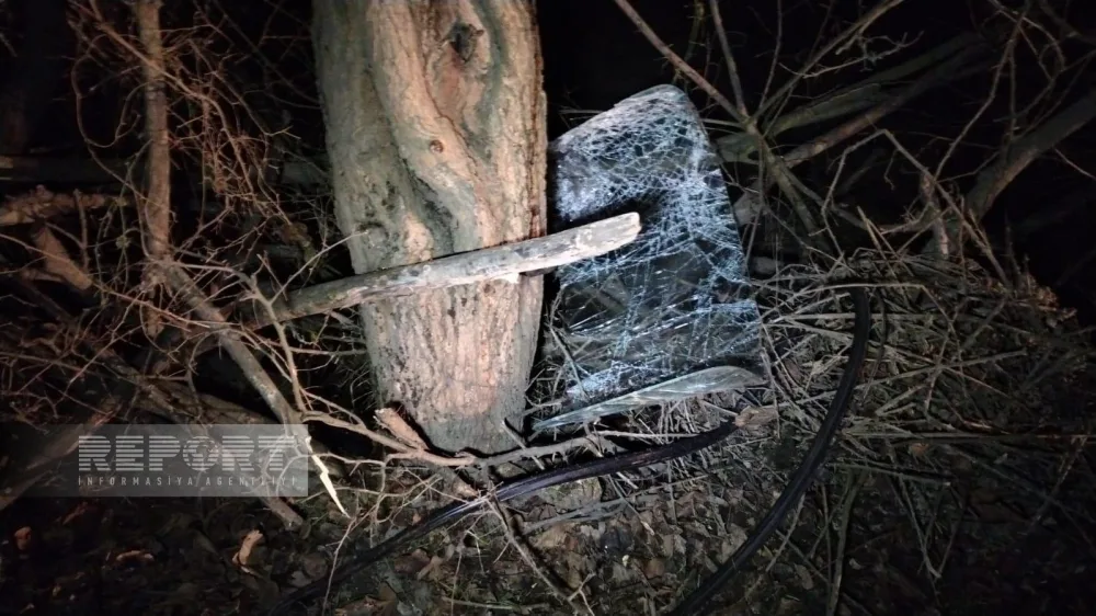 Oğuzda avtomobil ağaca çırpılıb, xəsarət alanlar var