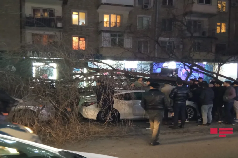 Yasamal rayonunda ağac avtomobillərin üzərinə aşdı - FOTO