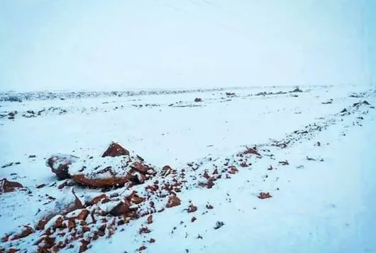 Səhraya qar yağdı - -FOTO