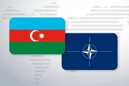 NATO Azərbaycan səfirliyinə hücumu pisləyib