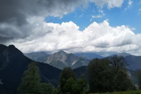 Meşədə tapılan insan skeleti ilə bağlı bəzi təfərrüatlar məlum oldu