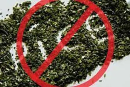 63 kiloqrama yaxın narkotik vasitə aşkar olunaraq götürüldü