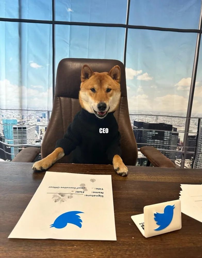 İlon Mask iti "Twitter"-in baş direktoru təyin etdi - FOTOLAR