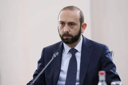 Ermənistanın xarici işlər naziri Türkiyəyə getdi