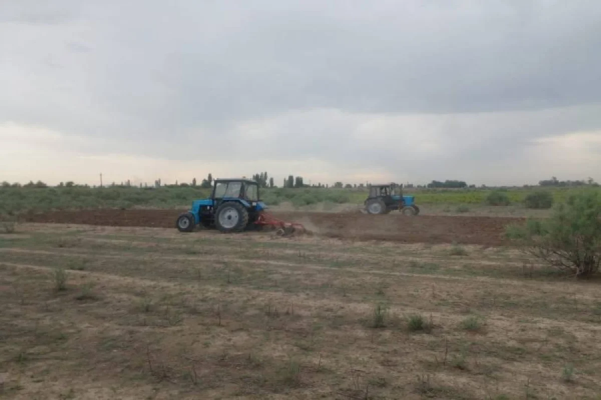 Bədbəxt hadisə: - 22 yaşlı oğlan əkin sahəsində öldü