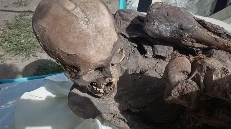 Kuryerin soyuducu qutusundan 800 illik mumiya tapıldı: - "Mənəvi sevgilimdir" - FOTO