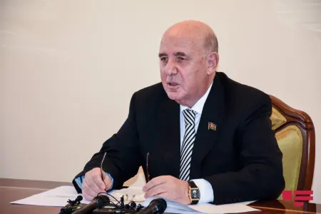 "Surroqat analıq və sperm donorluğu TÜRKPA-nın model qanununa salına bilər"