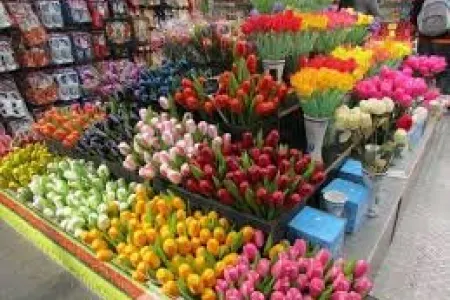 8 Martda gül dükanlarında qiymətlər necə olacaq?