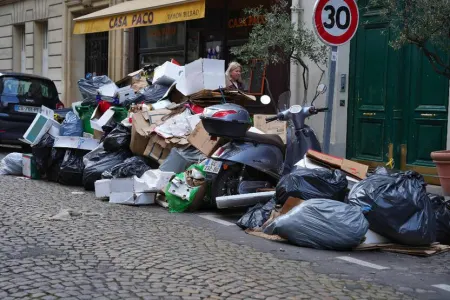 Paris altı milyon siçovul üçün bufetə çevrildi - FOTOLAR