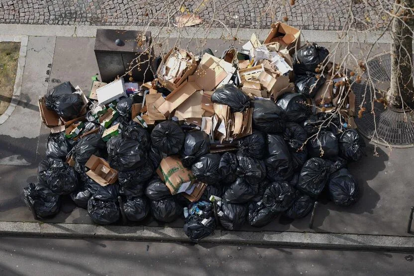 Paris altı milyon siçovul üçün bufetə çevrildi - FOTOLAR