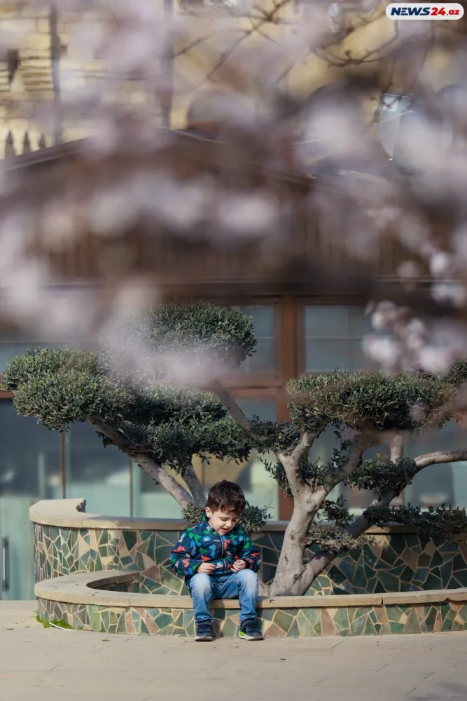 Novruza hazır olan Bakıdan FOTOLAR