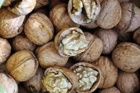 Bakıda xarab qoz satan şəxsi döyüb ayağını sındırdılar