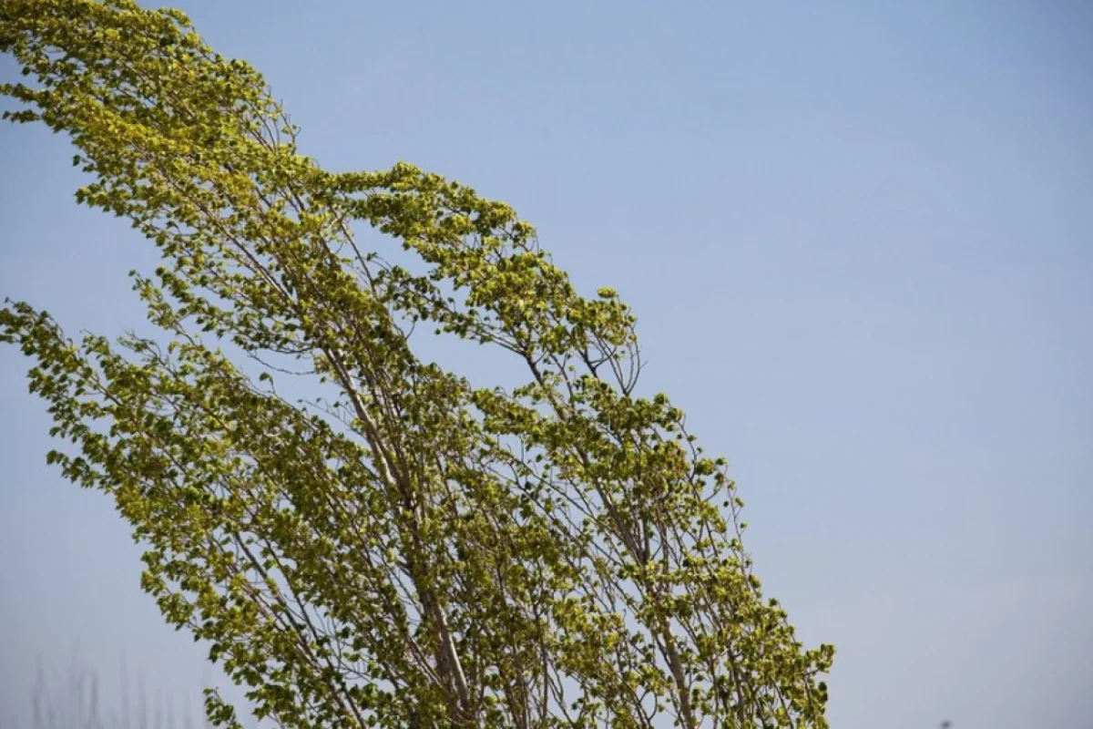 Küləkli hava nə vaxtadək davam edəcək?